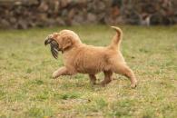 80d6b5c7bd93121f8879d3c03a2571e8_195x130_fill