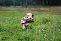 812f98f83a34983712d89abf7bb90b72_246x164_fill