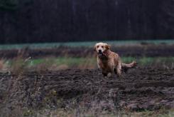 8177329d29b8282ae5549392cba80216_245