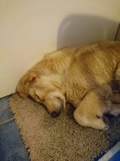 817ef936c04fadd87e829b68478f735f_174x232_fill