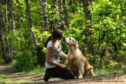 817fb7011c9712e4bb19ae3c115efb99_246