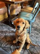 81844b6f509220e28c1ccb78d58a90f8_138x184_fill