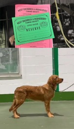 819bd77b6cd43351c967a68636cc9f28_152x264