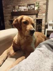 81af93b622cd5d72932e8132bbb165cd_172x229