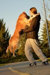 81b13a9350d563e349a21d41dec1d4e8_164x245