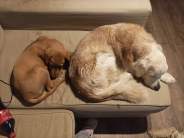 81c15469e109b8b3e29304b4acf39438_184