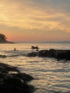 81d8fb7d673c0cfa0ae8b7528efd2cfa_138x184_fill