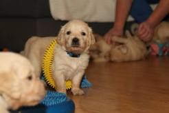 82683ff8e30ae6de4fb45bec09bcbe7b_246