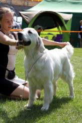 8289c51ae292f57cd24e198b5a2fd7a8_164x246