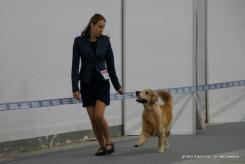 82cdb3692b36422f7965729937088f49_245