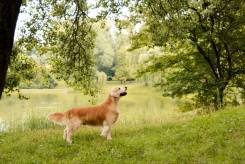 82e10faea98f847e7d166c3e50c0b49f_245