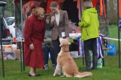 82e8aecaee54eb9df18631331849457c_246