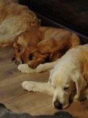 831e49792514ac4d0c8570808be9ca1e_174x232_fill