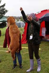 83279700075296d849439f47608679b6_164x245