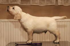 834438ffcd71522678296764c984ce62_245