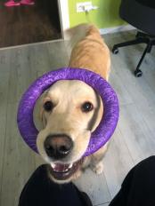 836d3ae1c442ad695e4e1e929afa53eb_174x232_fill