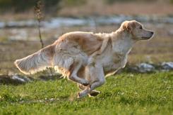 83c87283f96d8f93810ab176a1bb43a1_245