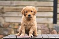 840354fc299a7a91717ea42a323d3575_195x130_fill