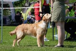 84268afca7b349c5a421ba8c4069c003_246x164_fill