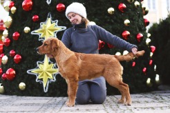 842d191480d96e0890ee4fc67155e2f5_246