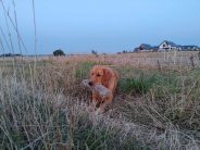 8436e6347dabec47898bab7f2f5e46df_184x138_fill