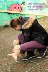 846701a853eaf624f71ae329ca8b0009_164x246_fill