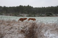 849fe4648903b3d4ce6718fdb338a2af_195