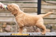 84b61d9fc33df0c5f690f57beeca0dca_195x130_fill