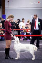 84d0bb2df9446878b8ed48f10c379559_164x246