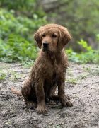 84d32967fa64d1d70c8508692c838ed9_140x181