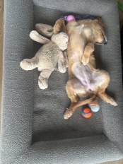 84dd65033b643ac4643e4a38299745a7_174x232_fill