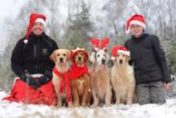 851ba7d285ae71e2577590812ec7be61_194