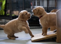 8538aefe0147b4e049b3e5881dea794f_237