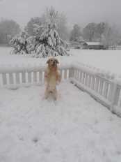 8540e1482e1a7b92436540a0c89658fd_174x232_fill