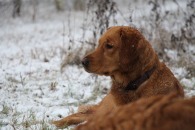 857c8b3674212016426887547ff25f2e_195