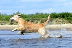 85921fe3f46a3a63ffaa024a9d8ca857_245