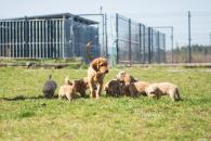 85a269dd89e24483192d48b41864fbe8_195x130_fill