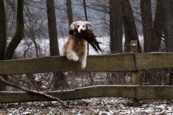 85fc84f7f31b1845b794ffc1d5d11090_246