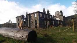 8610994ccaf9d954a27084e4c84c57ff_266