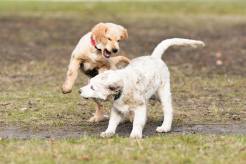 86125603570c41440a6ec9bb6dcf1d3b_246