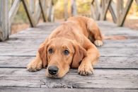 8613a10dc3e686cb5c51f2adb4740ac2_195