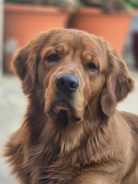 86212f8ef913dbae33ce286a7c359be0_138x184_fill