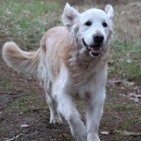 863e4a6d0b277896296880ccf319817f_200x200_fill