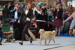 864473401d532e90c4bd417eb65777dd_246