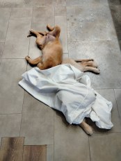 865dc12a2eccef945abfc9c13f316312_174x232_fill