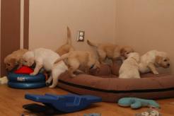 86619910a9062e39ceedebfd243281d6_246x164_fill