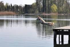 86814fdc7f02a67b9c24738226786396_245