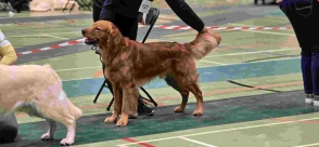 868cd28b1b164147095f20ee0b70accb_294