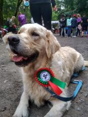 869fdf5c76042194380add1cb183309b_174x232_fill