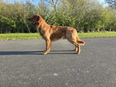 869ffd7f8eda959ccb9714961ef3f023_232x174_fill